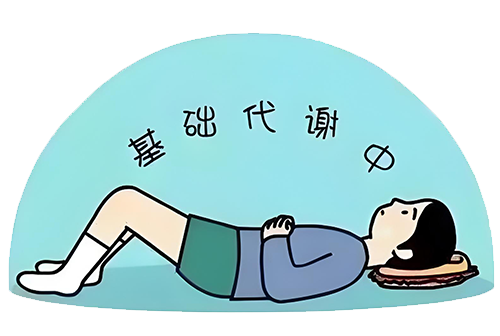 һ˽л(BMR)(ͼ1)