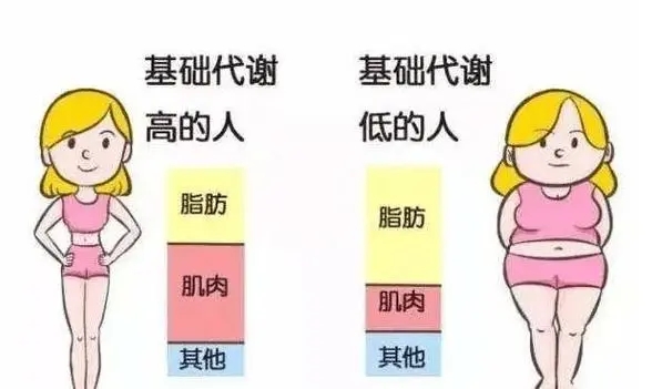 лǸߺûǵͺã(ͼ2)